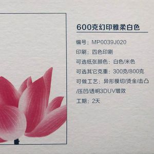 雅柔/新美感 白色/米色
